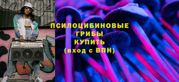 амф Богородицк
